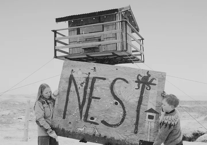 nest (2022)